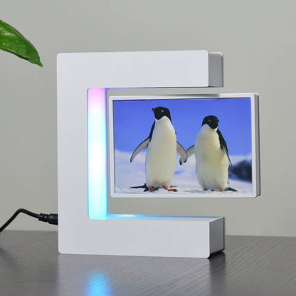 Magnetic Floating Picture Frame